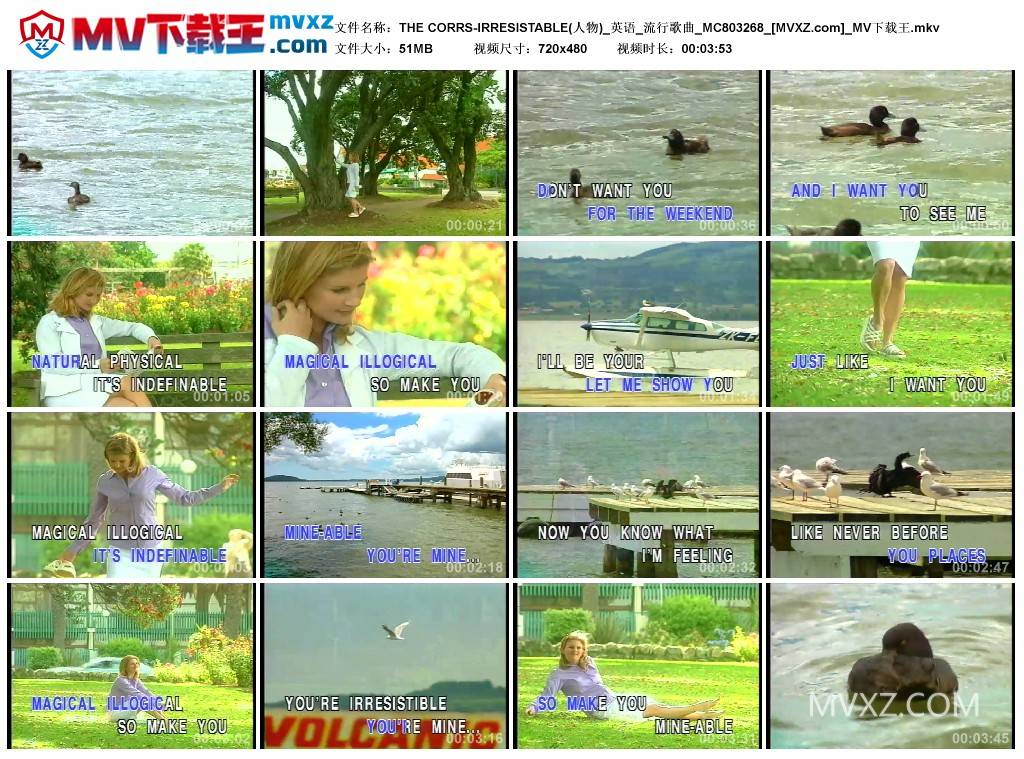 THE CORRS-IRRESISTABLE(人物)_英语_流行歌曲_MC803268